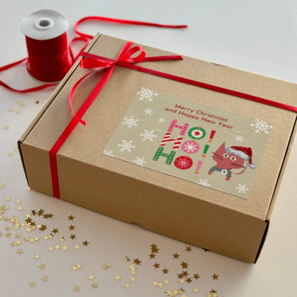 christmas-box-karfitsomenosgatos