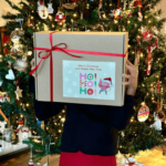 christmas-box-katfitsomenosgatos(3)